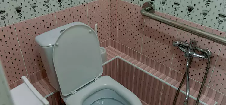 Meeting Diverse Needs With Accessible Restroom Solutions in Elk River, MN